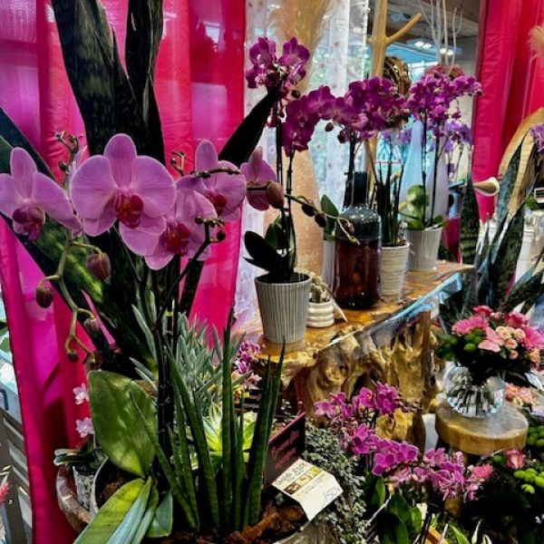 Christelle Seyller - Fleurs (fêtes,mariage et deuil) à Saverne, Marmoutier et Phalsbourg