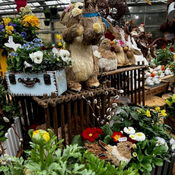Christelle Seyller - Horticulture et jardinerie à Saverne, Marmoutier et Phalsbourg
