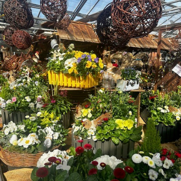 Christelle Seyller - Horticulture et jardinerie à Saverne, Marmoutier et Phalsbourg