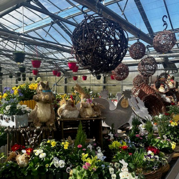 Christelle Seyller - Horticulture et jardinerie à Saverne, Marmoutier et Phalsbourg