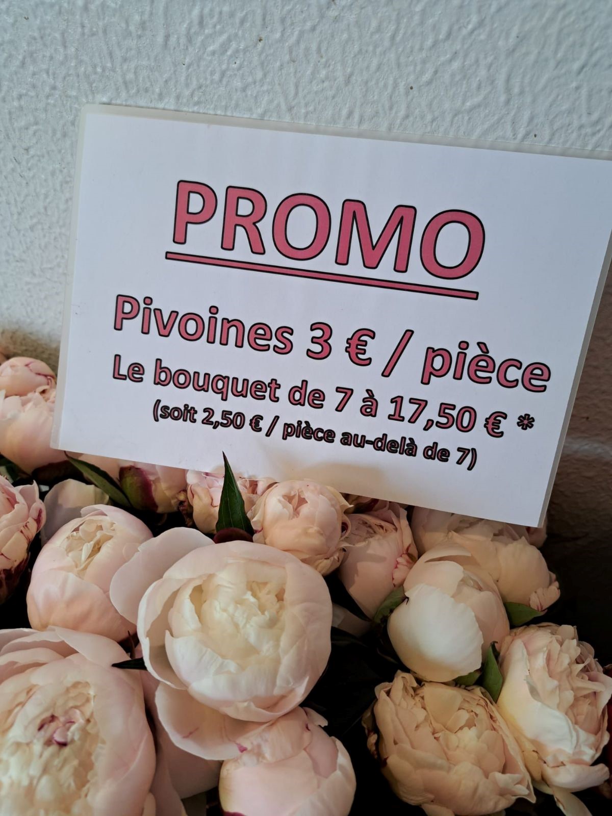 Christelle Seyller -  Promotion : Pivoines