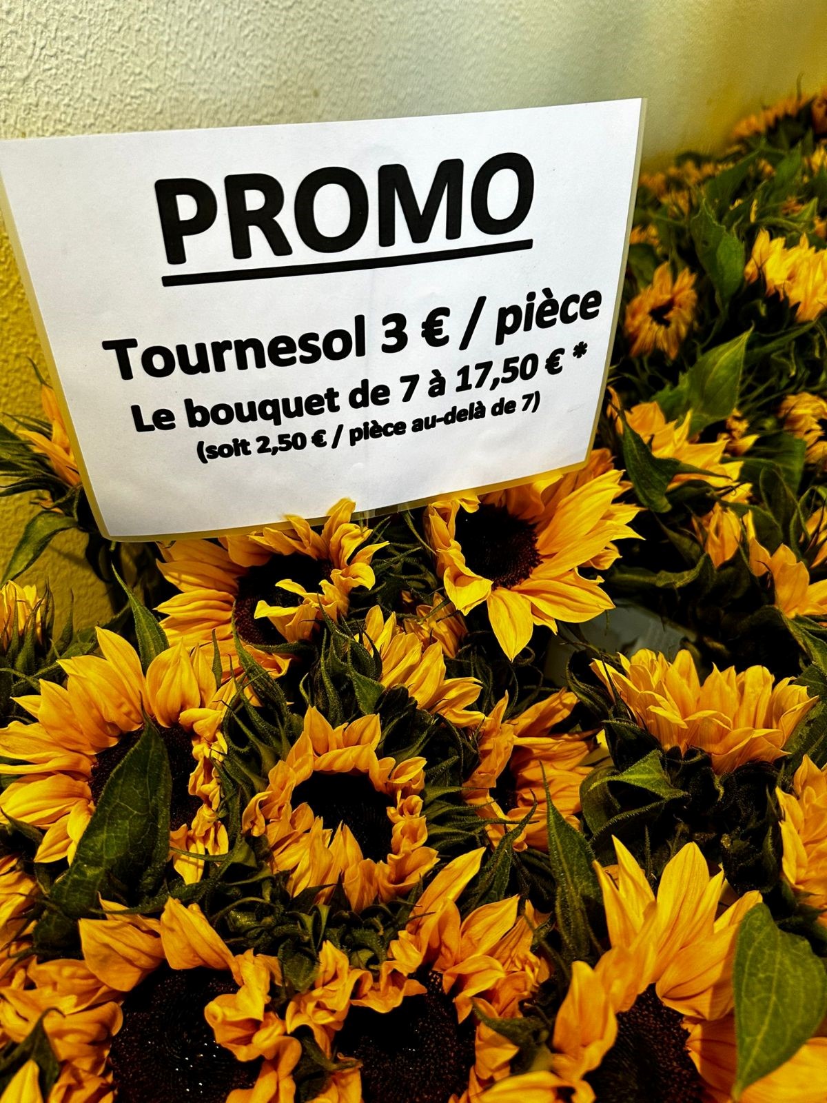 Christelle Seyller -  Promotion : Tournesols