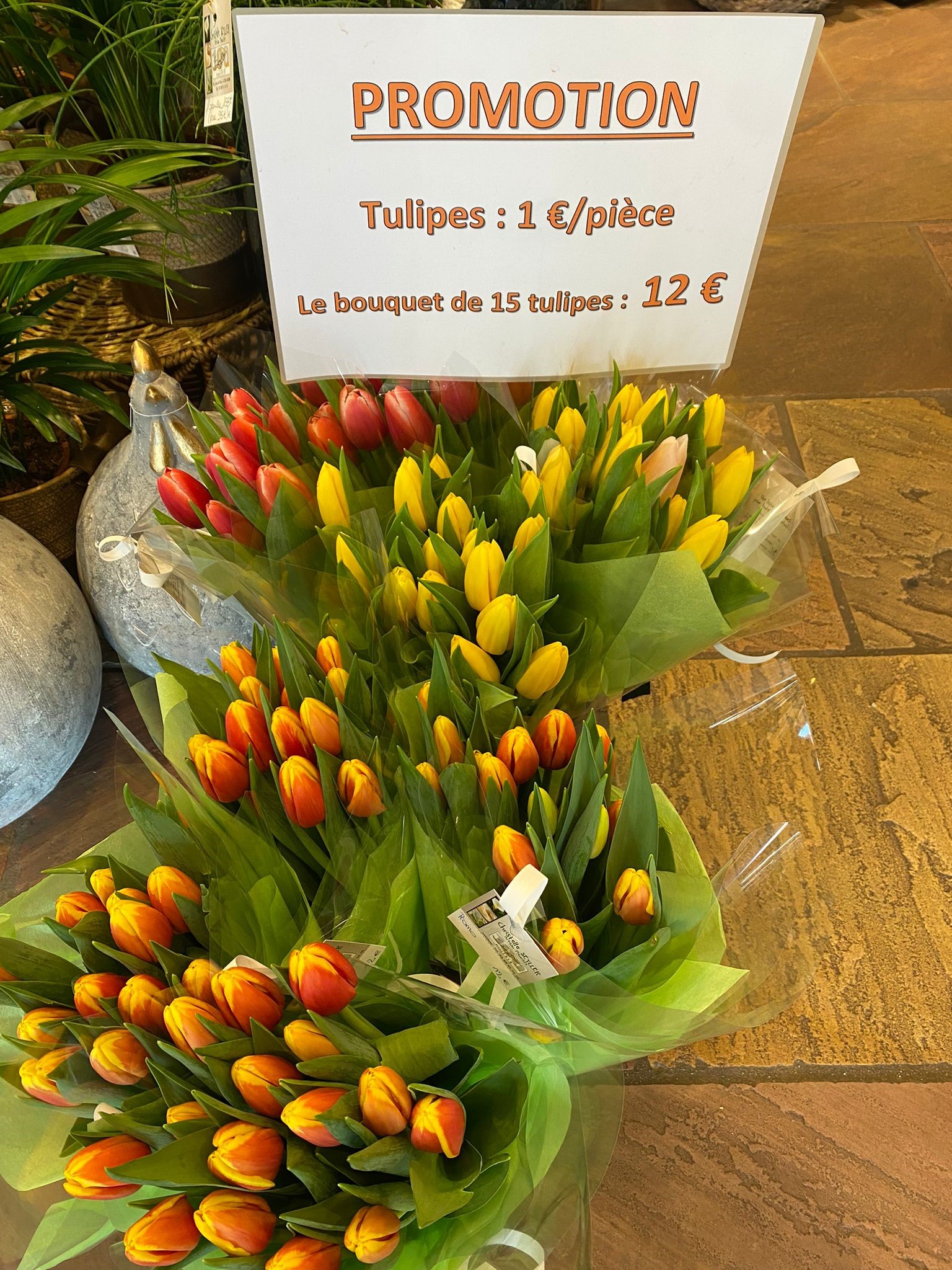 Christelle Seyller -  Promotion : Tulipes